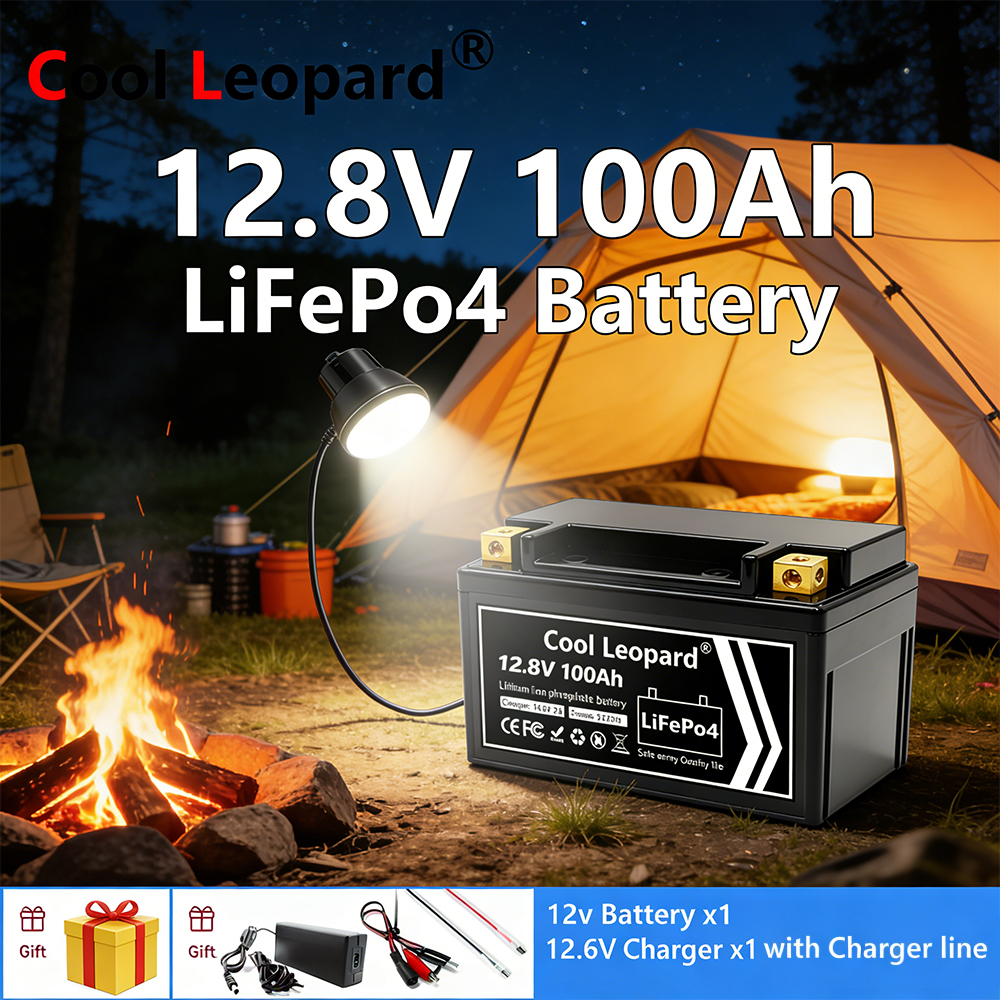 Lightweight 12V 100Ah LiFePO4  - огляд і ціна Fish Finder Charger